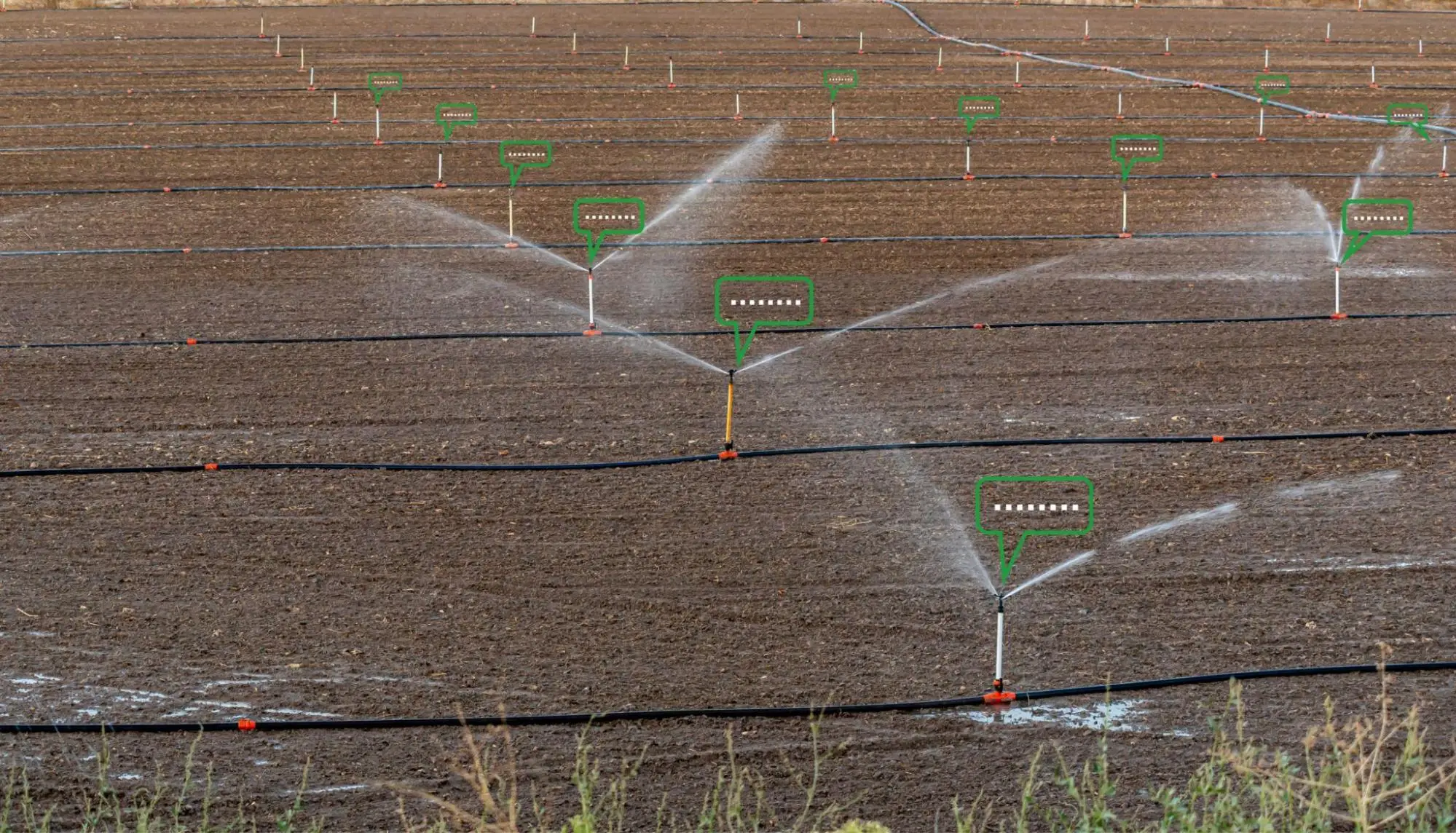 Scenario Image 4